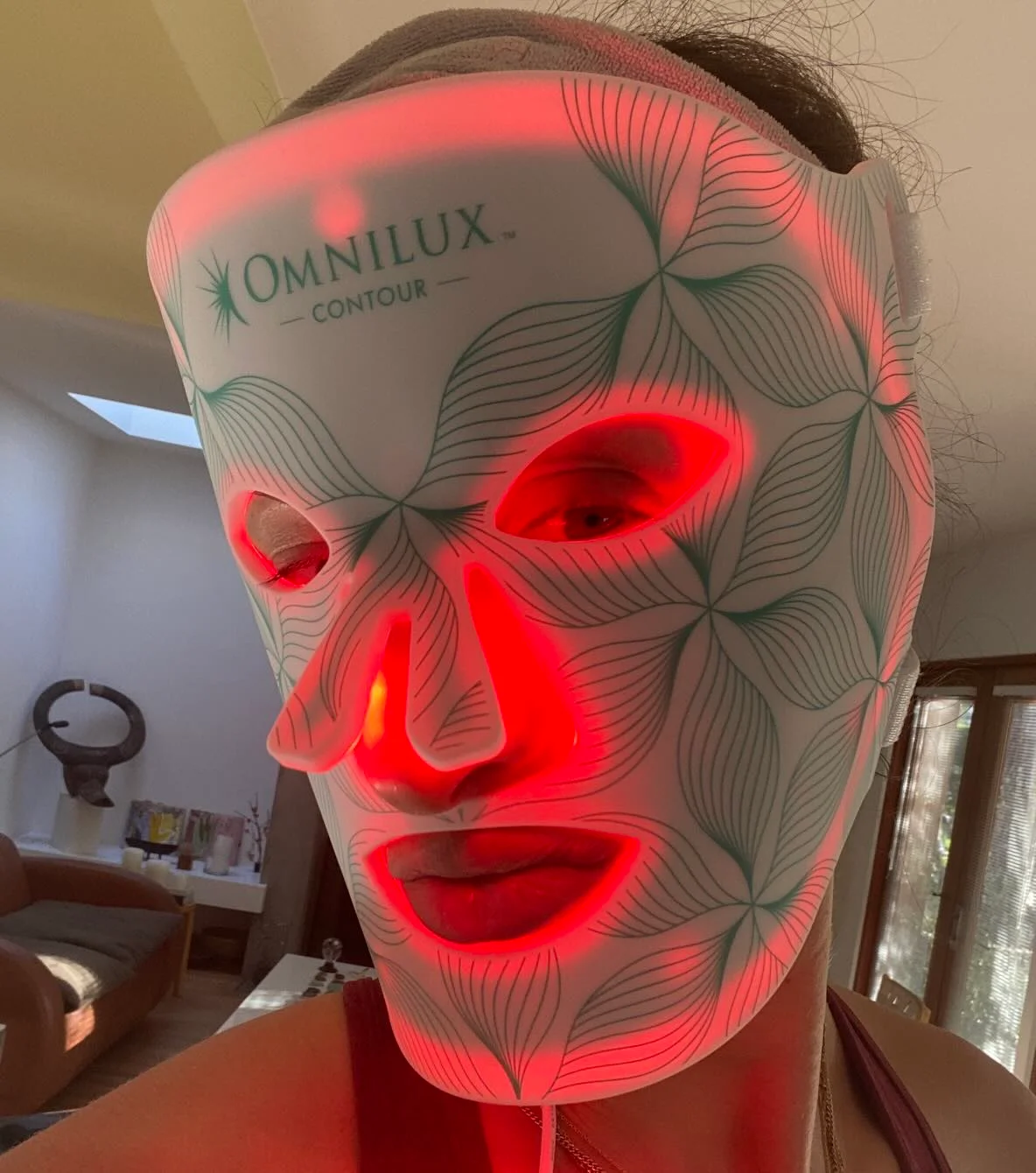 LED FACE MASK